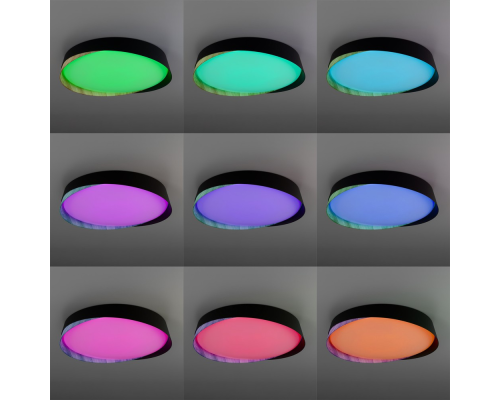 Citilux BONNY CL754351G LED RGB Светильник с пультом Черный+Клён