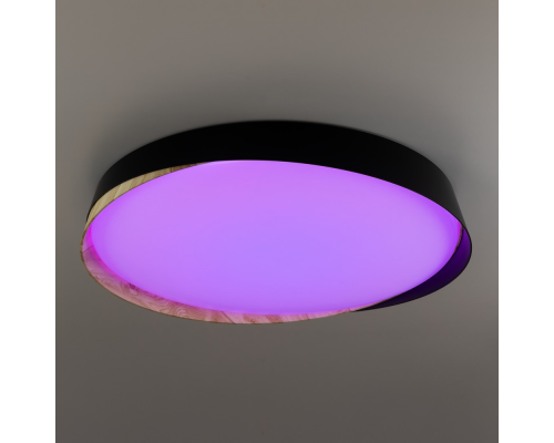 Citilux BONNY CL754451G LED RGB Светильник с пультом Чёрный + Клён