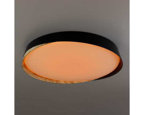 Citilux BONNY CL754451G LED RGB Светильник с пультом Чёрный + Клён