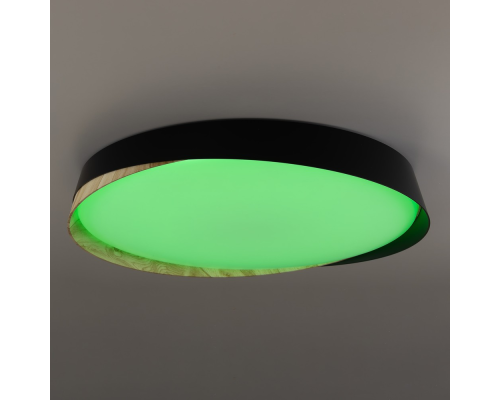 Citilux BONNY CL754451G LED RGB Светильник с пультом Чёрный + Клён