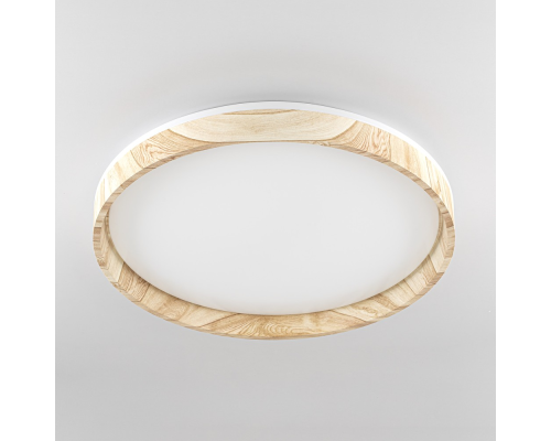 Citilux ENZO CL753452G LED RGB Светильник с пультом Клён