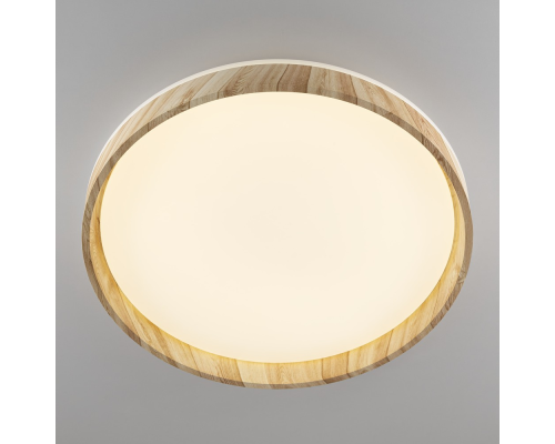 Citilux ENZO CL753452G LED RGB Светильник с пультом Клён