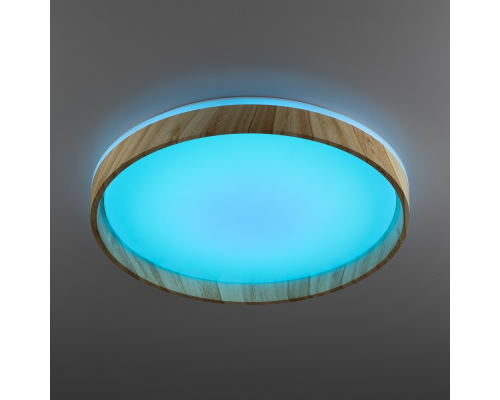 Citilux ENZO CL753452G LED RGB Светильник с пультом Клён