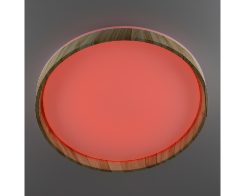 Citilux ENZO CL753452G LED RGB Светильник с пультом Клён