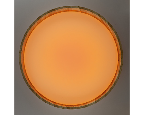 Citilux ENZO CL753452G LED RGB Светильник с пультом Клён