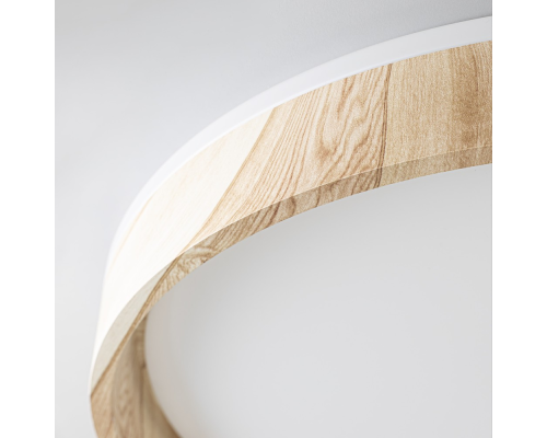 Citilux ENZO CL753452G LED RGB Светильник с пультом Клён