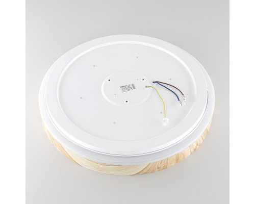 Citilux ENZO CL753452G LED RGB Светильник с пультом Клён