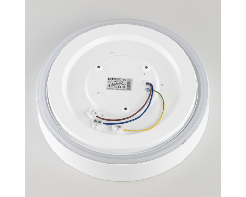 Citilux BOSS CL751250G LED RGB Светильник с пультом Белый