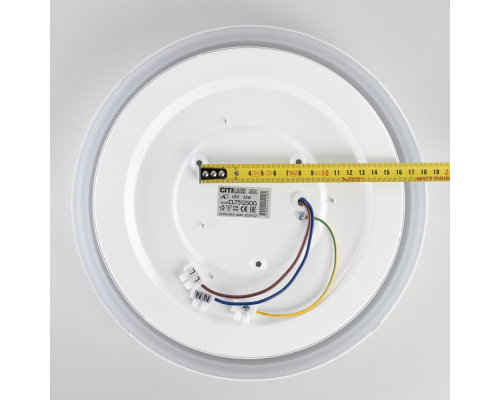 Citilux BOSS CL751250G LED RGB Светильник с пультом Белый