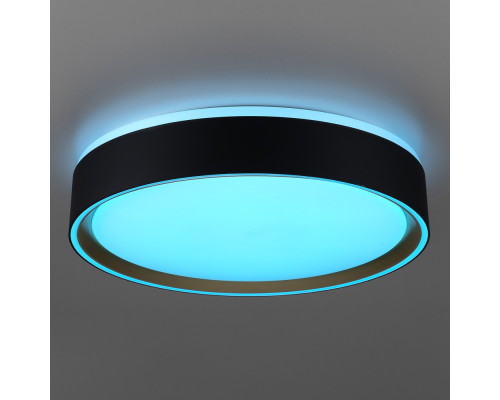 Citilux BOSS CL751251G LED RGB Светильник с пультом Чёрный с Золотом