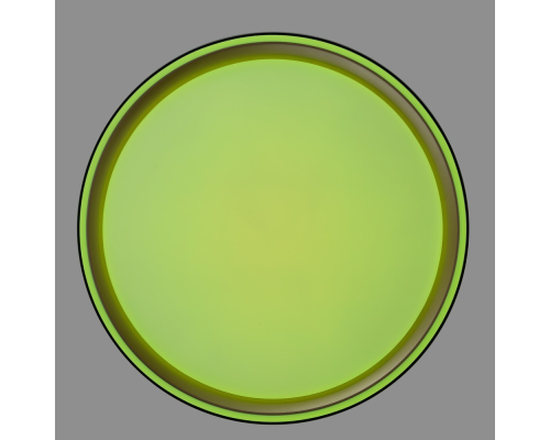 Citilux BOSS CL751251G LED RGB Светильник с пультом Чёрный с Золотом