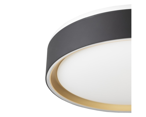 Citilux BOSS CL751251G LED RGB Светильник с пультом Чёрный с Золотом