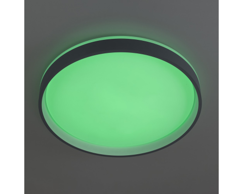 Citilux ENZO CL753453G LED RGB Светильник с пультом Серый + Белый