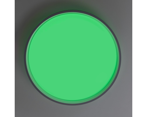 Citilux ENZO CL753453G LED RGB Светильник с пультом Серый + Белый