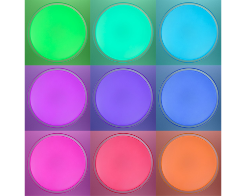 Citilux BOSS CL751450G LED RGB Светильник с пультом Белый