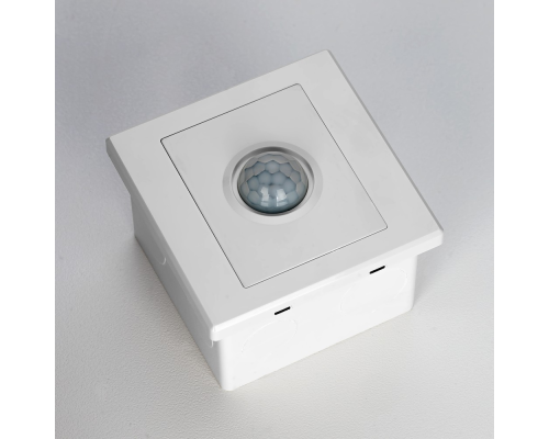 Citilux Скалли CLR005KS0 Встраиваемое реле с датчиком движения Белое