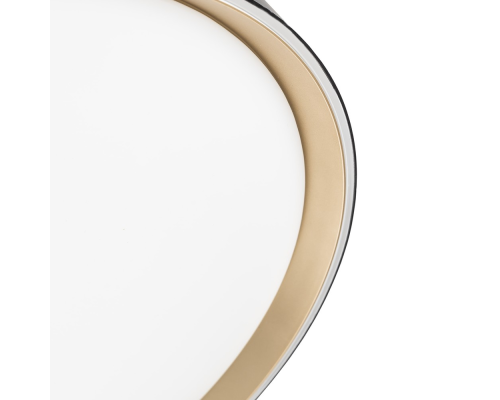 Citilux BOSS CL751451G LED RGB Светильник с пультом Чёрный с Золотом