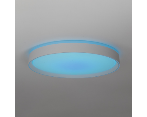 Citilux BOSS CL751450G LED RGB Светильник с пультом Белый