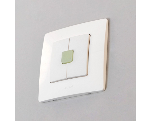 Citilux Смарт-Пульт CLR4W Радиовыключатель двухклавишный Белый