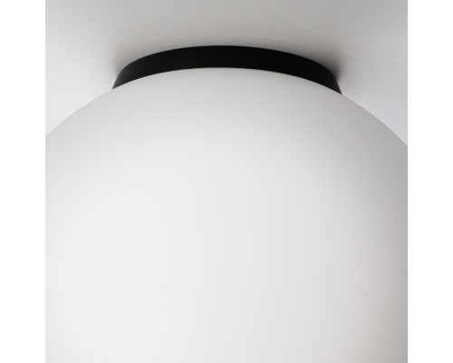 Citilux RON CL941D20B5 Потолочный светильник Чёрный