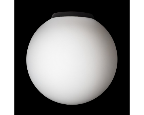 Citilux RON CL941D20B5 Потолочный светильник Чёрный