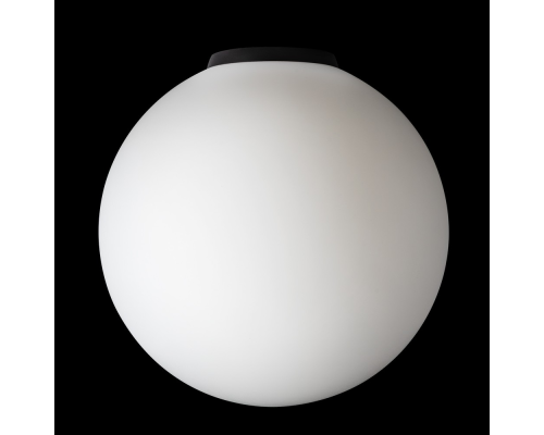 Citilux RON CL941D25B5 Потолочный светильник Чёрный