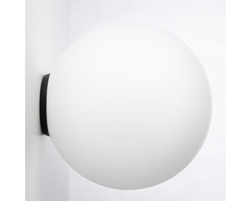 Citilux RON CL941D25B5 Потолочный светильник Чёрный