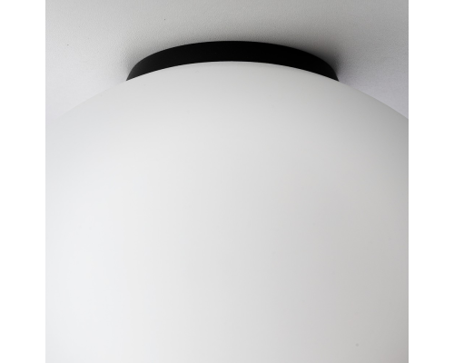 Citilux RON CL941D25B5 Потолочный светильник Чёрный