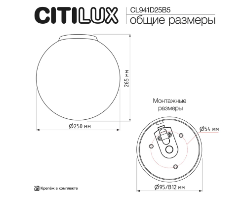 Citilux RON CL941D25B5 Потолочный светильник Чёрный