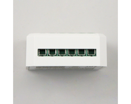 Citilux Смарт-Реле CLR02 Умное 2-х канальное