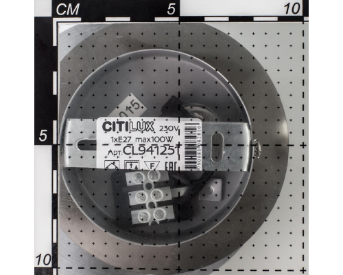 Citilux CL941301 Подвесной светильник шар Белый