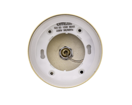 Citilux Hardy CL002P12 Подвесной светильник Золото