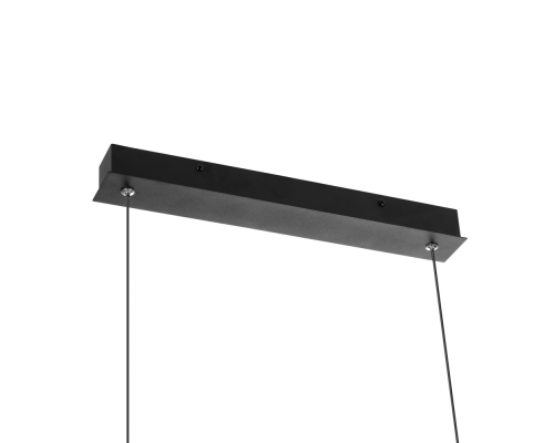 Citilux PYTHON CL220121 Подвесной светильник с пультом Чёрный