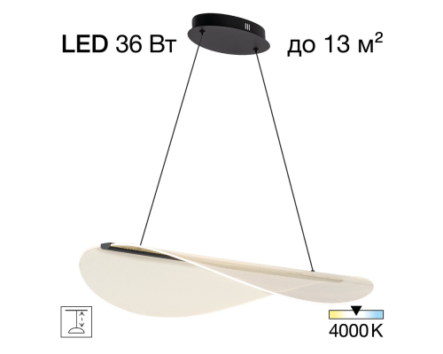 Citilux SKATT CL213131 LED Подвесной светильник Чёрный