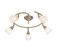 Citilux Виндзор CL539551 Спот поворотный Бронза