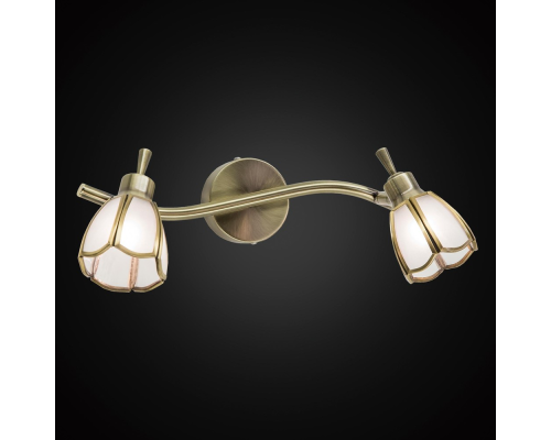 Citilux Альтен CL522521 Спот поворотный Бронза