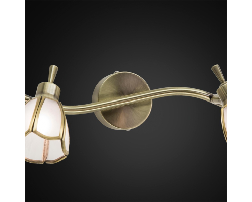 Citilux Альтен CL522521 Спот поворотный Бронза