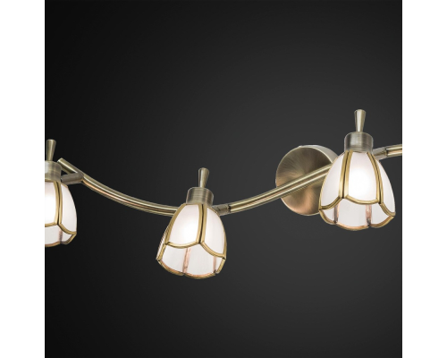 Citilux Альтен CL522541 Спот поворотный Бронза