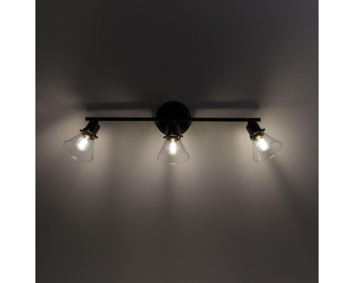 Citilux Трек Бисмарк CL564531 Спот с выключателем Венге