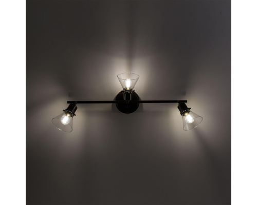 Citilux Трек Бисмарк CL564531 Спот с выключателем Венге