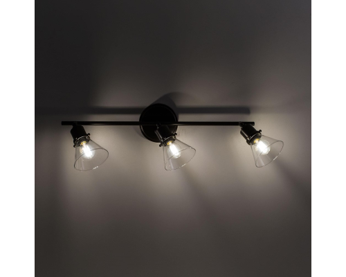 Citilux Трек Бисмарк CL564531 Спот с выключателем Венге