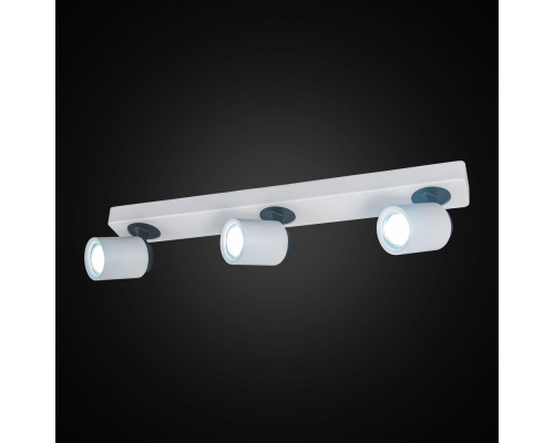 Citilux Норман CL533530 Спот поворотный Белый