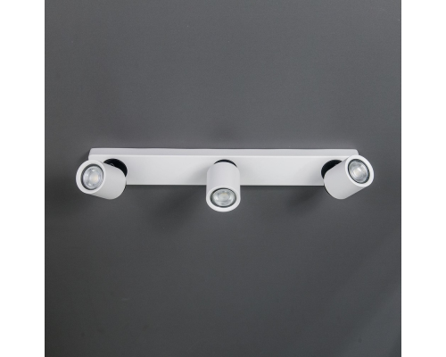 Citilux Норман CL533530 Спот поворотный Белый