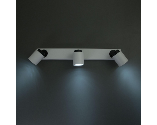 Citilux Норман CL533530 Спот поворотный Белый