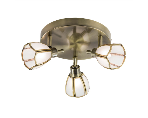 Citilux Альтен CL522531 Спот поворотный Бронза