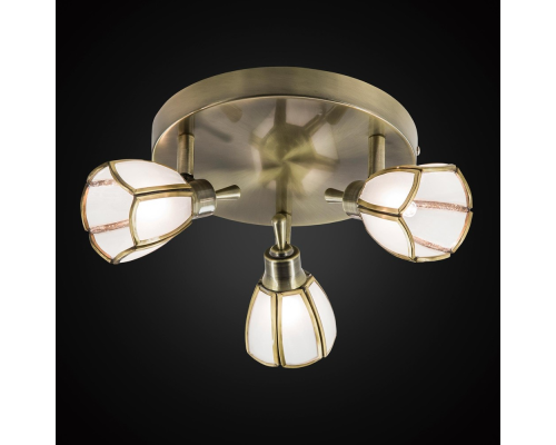 Citilux Альтен CL522531 Спот поворотный Бронза