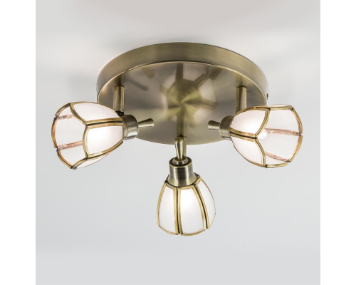 Citilux Альтен CL522531 Спот поворотный Бронза