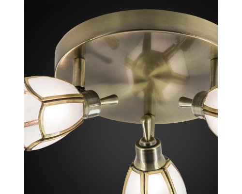 Citilux Альтен CL522531 Спот поворотный Бронза