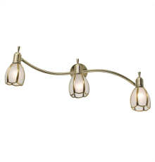 Citilux Альтен-2 CL522631 Спот поворотный с выключателем Бронза