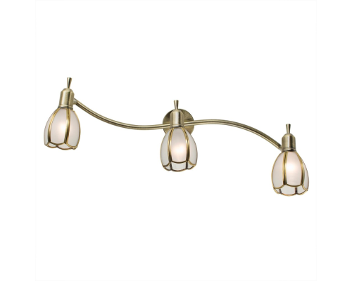 Citilux Альтен-2 CL522631 Спот поворотный с выключателем Бронза